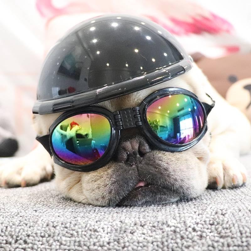 Boston Terrier Dog Sun Glasses Polarized UV Padded Adjustable Pet Sensitive Eye Sun PhotoPhobia Protection Swimming Calming Training Goggles - A-ZAREY