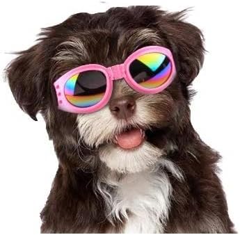 Boston Terrier Dog Sun Glasses Polarized UV Padded Adjustable Pet Sensitive Eye Sun PhotoPhobia Protection Swimming Calming Training Goggles - A-ZAREY