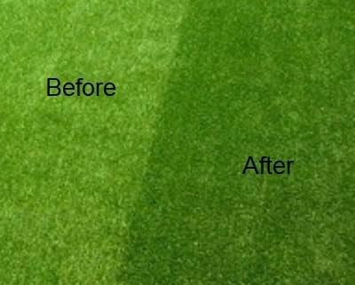 Synthetic Lawn Brush Rubber Bristled Cleaning Broom Rubber Bristles Repairs Cleans Lifts Flat Tired Grass Blades - A-ZAREY